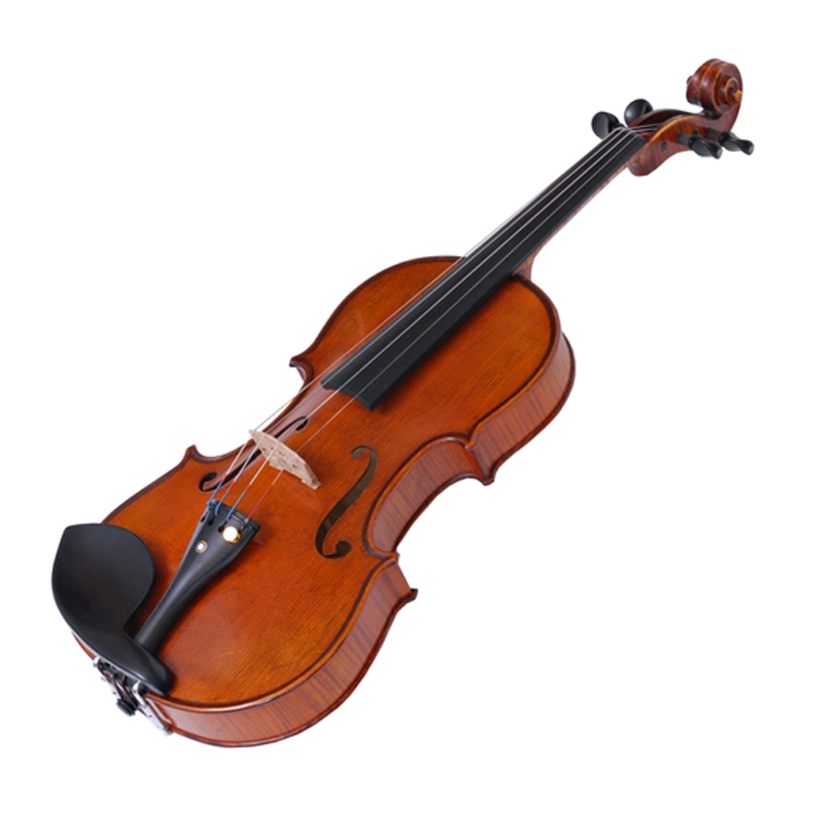 Beginner Violin | Erwin Otto 8011